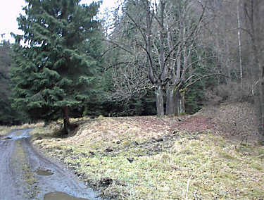 Gasthaus Waldfrieden heute